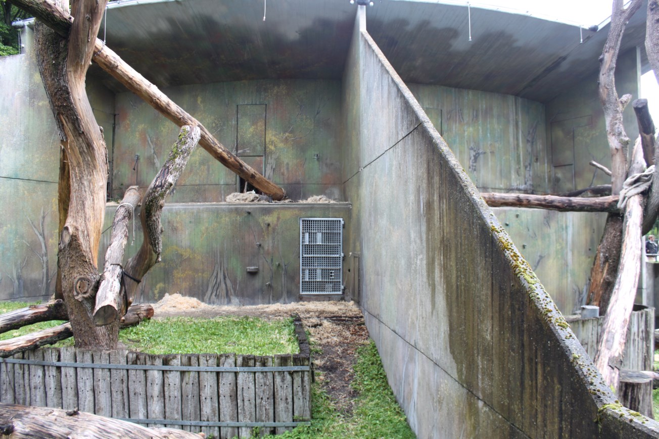 Aalborg Zoo - Orangutan exhibits