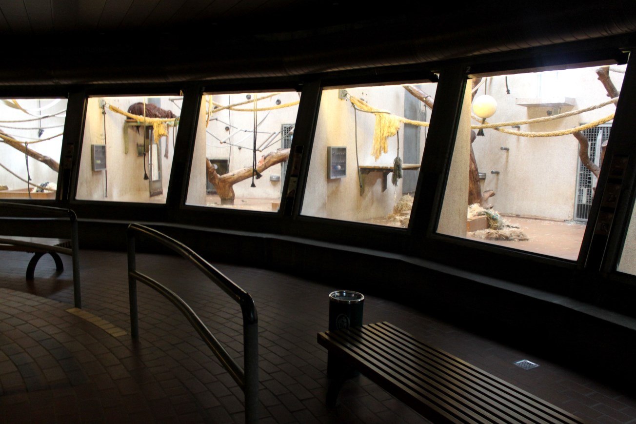 Aalborg Zoo - Orangutan House