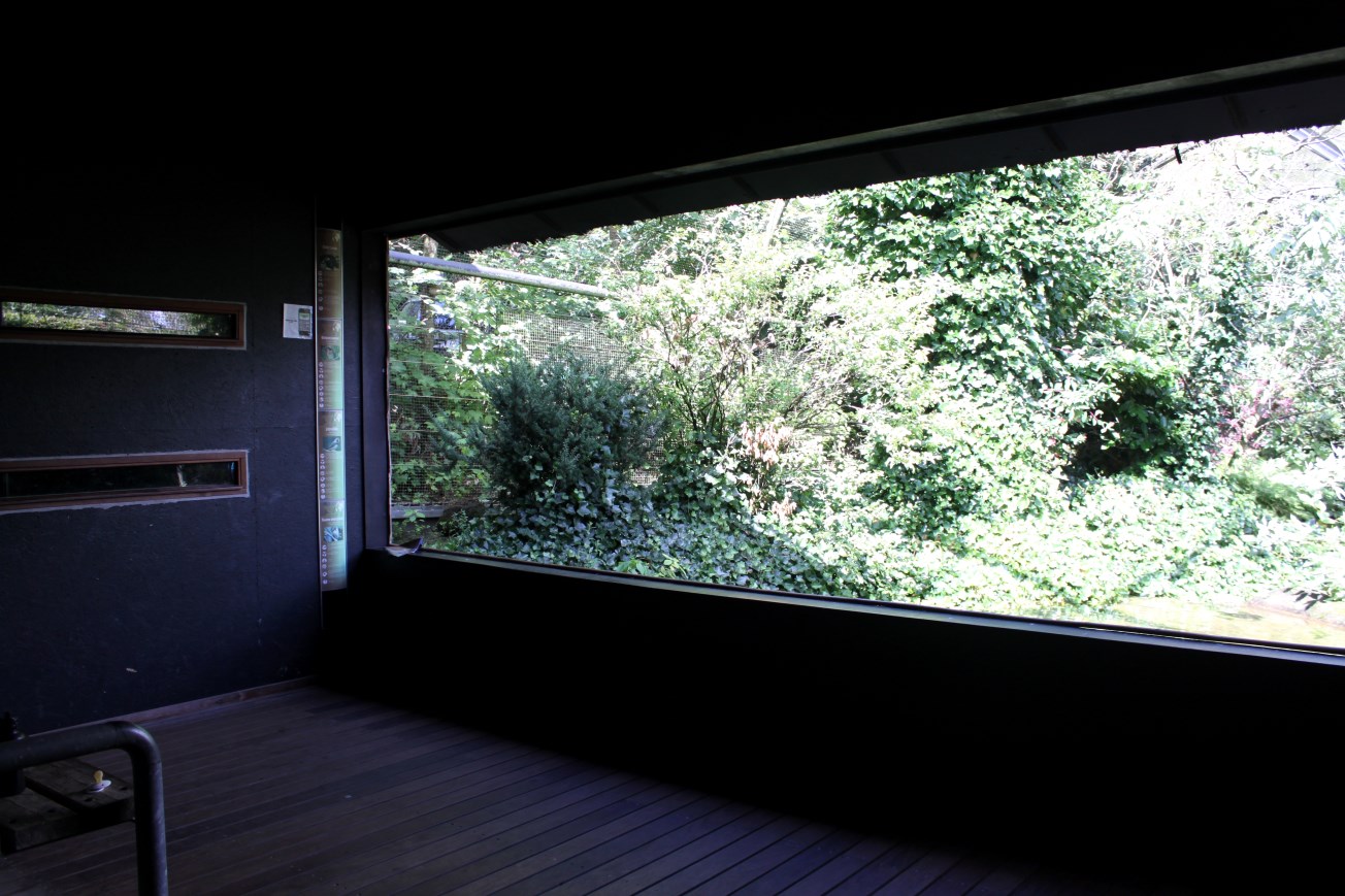 Aalborg Zoo - Panorama Aviary