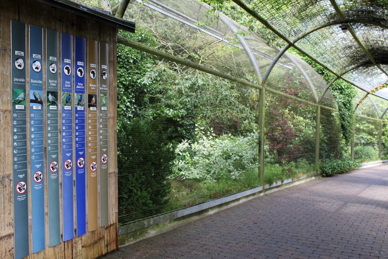 Aalborg Zoo - Panorama Aviary