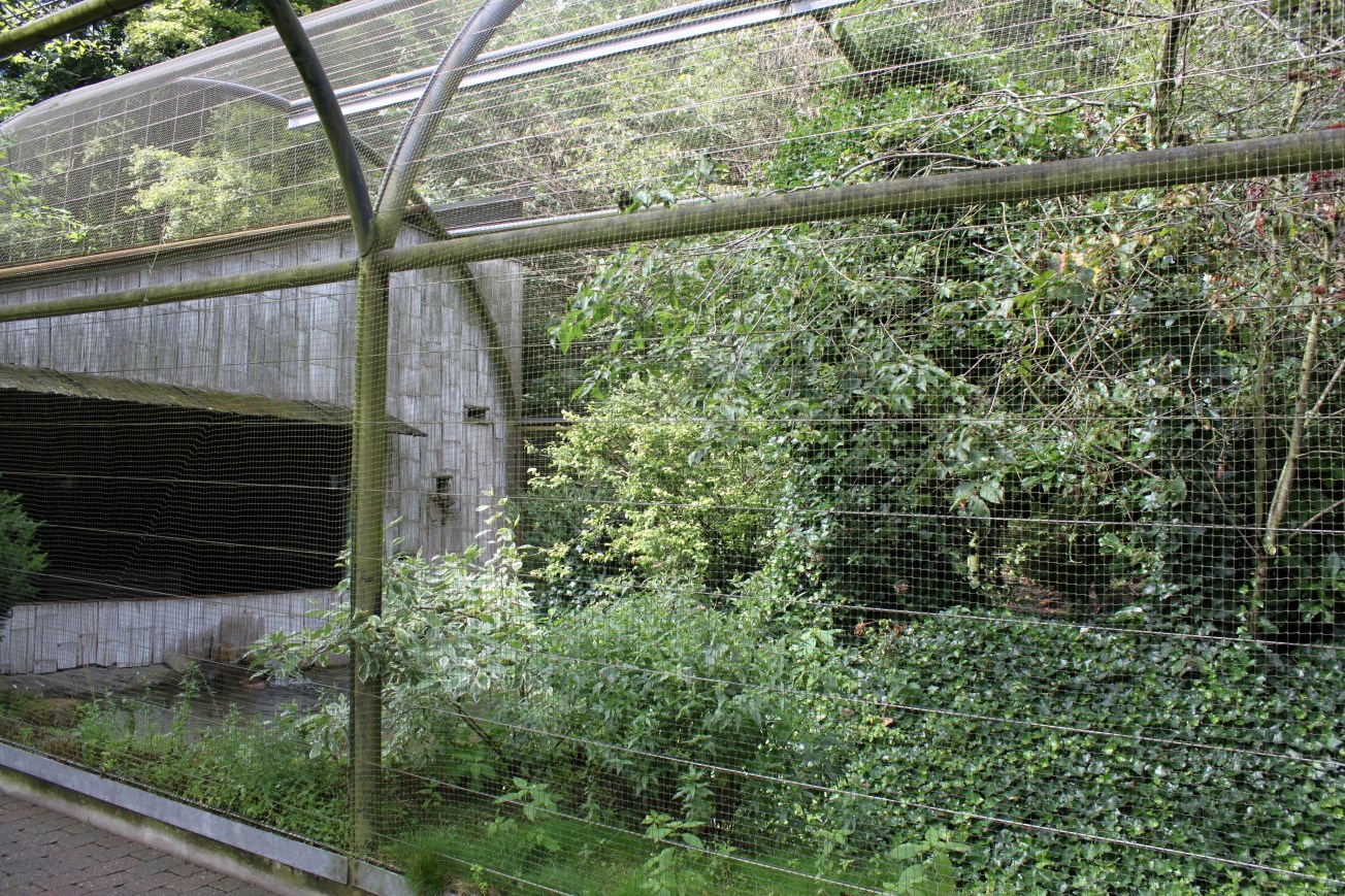 Aalborg Zoo - Panorama Aviary