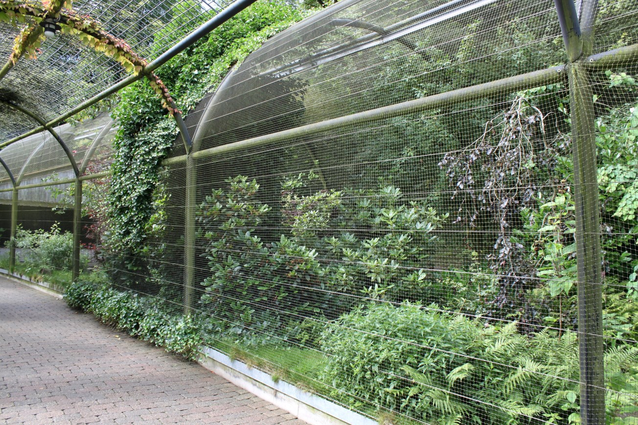 Aalborg Zoo - Panorama Aviary