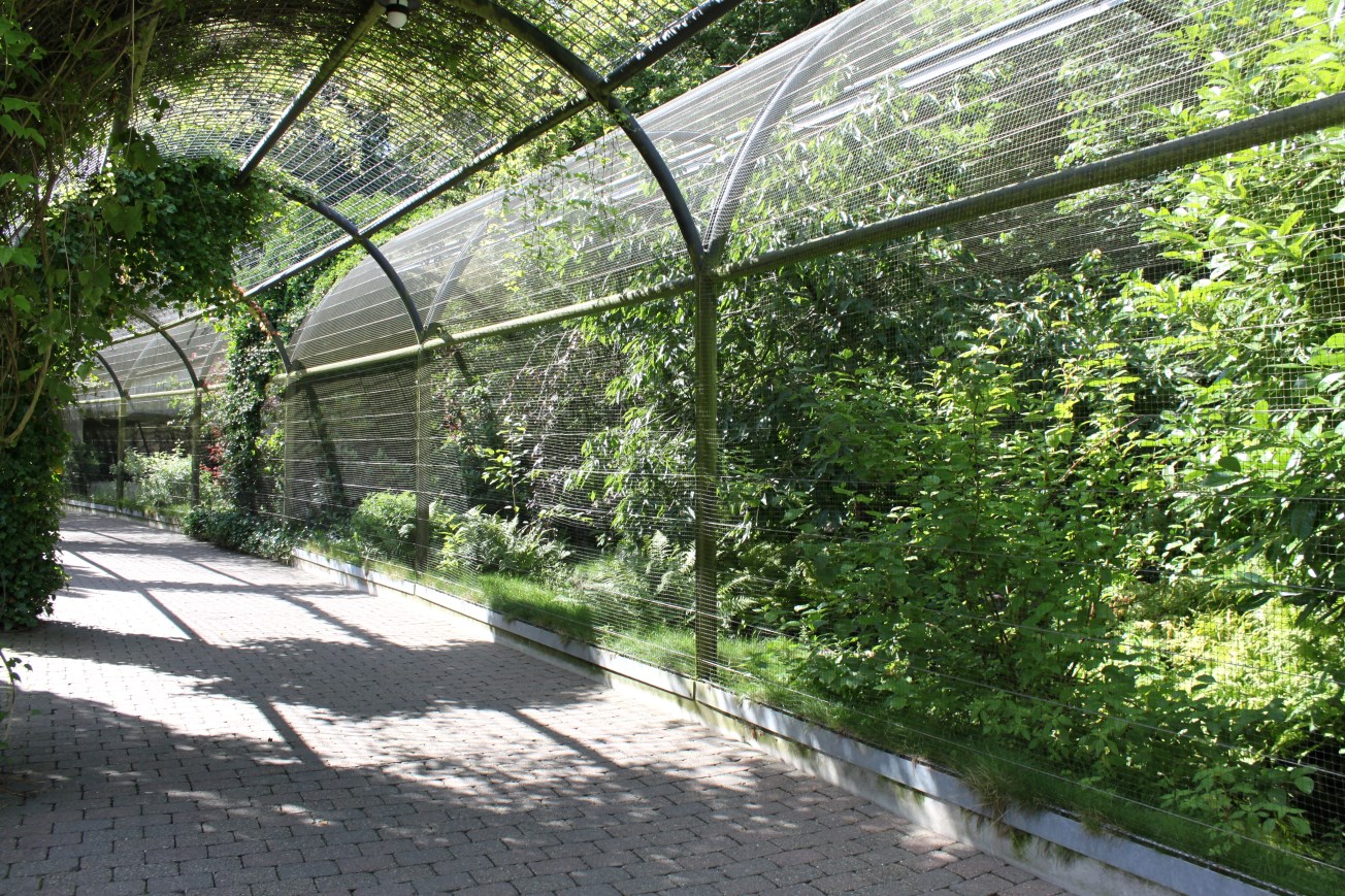Aalborg Zoo - Panorama Aviary
