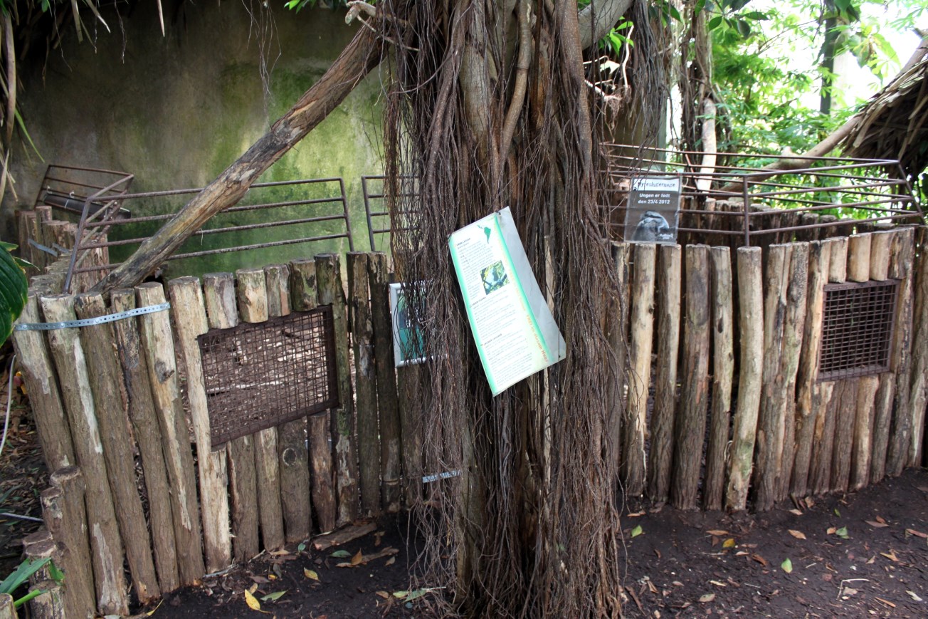 Aalborg Zoo - Payamino House (Anteater)