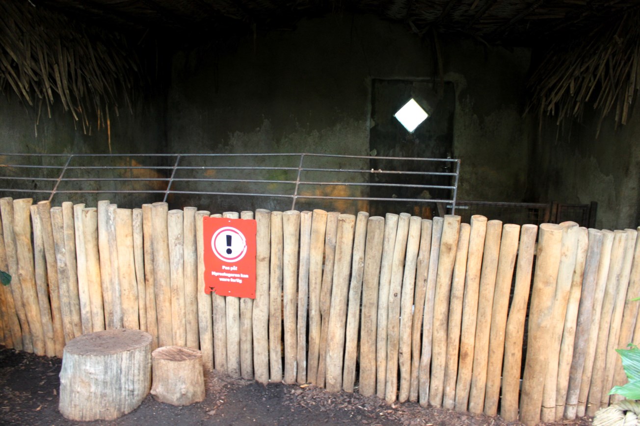 Aalborg Zoo - Payamino House (Anteater)