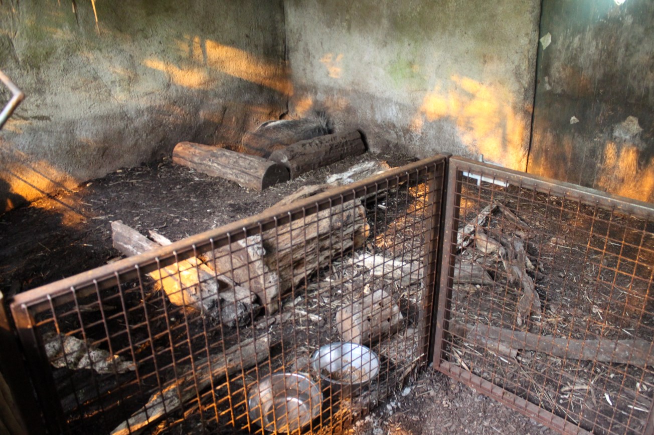 Aalborg Zoo - Payamino House (Anteater)