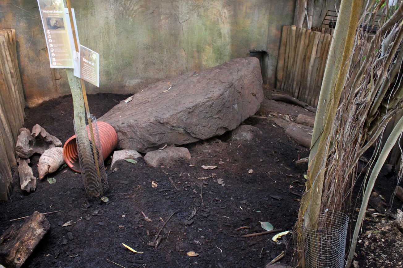 Aalborg Zoo - Payamino House (Armadillo)