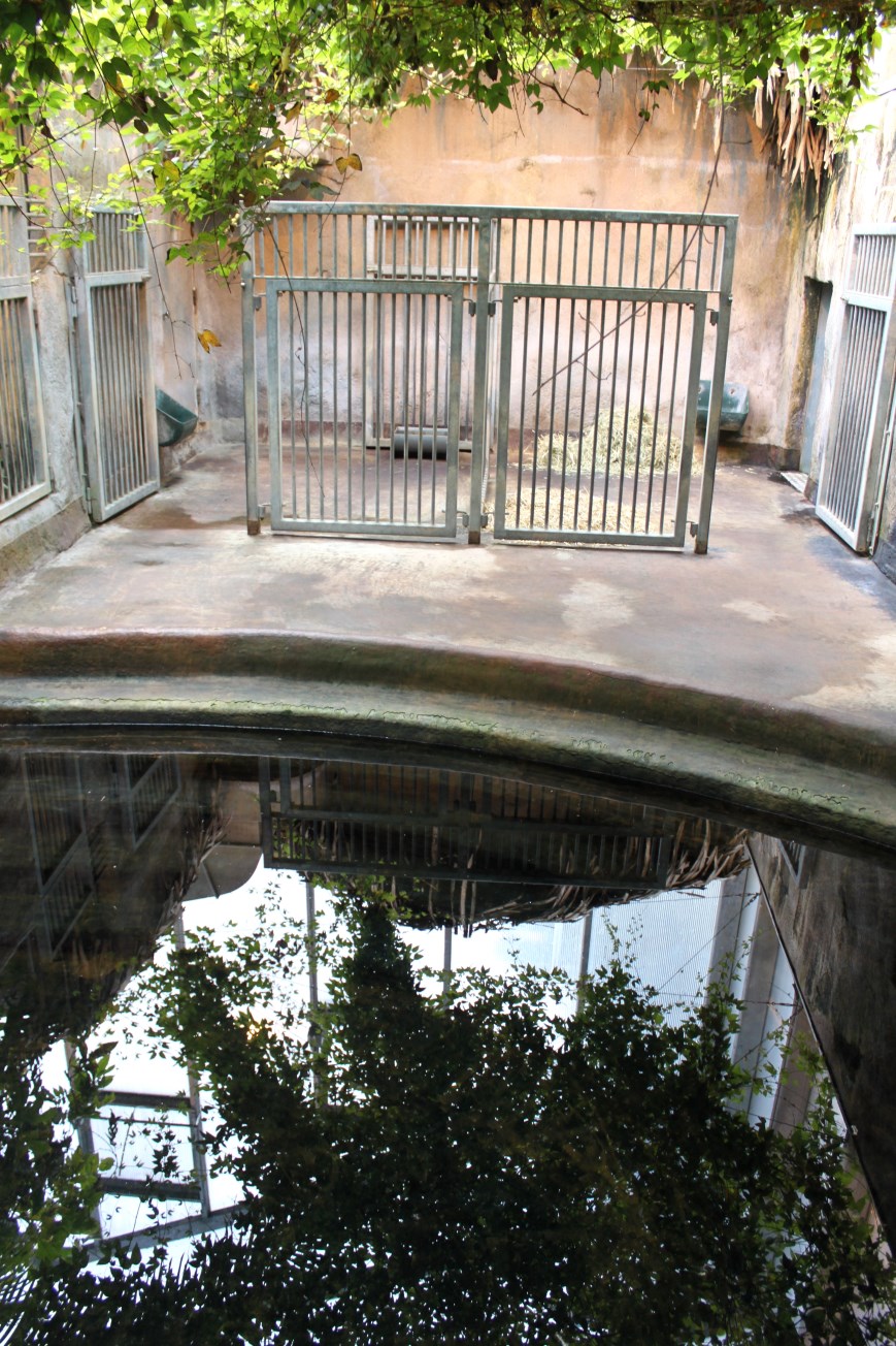 Aalborg Zoo - Payamino House (Tapir)