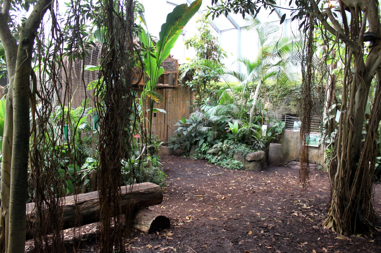 Aalborg Zoo - Payamino House