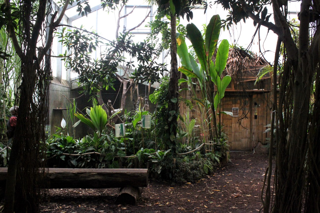 Aalborg Zoo - Payamino House