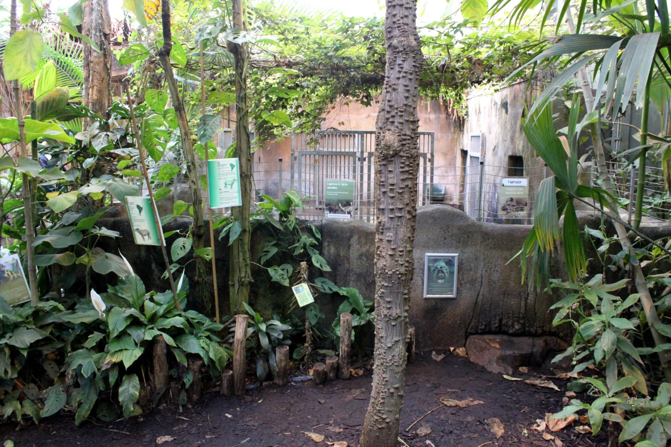 Aalborg Zoo - Payamino House