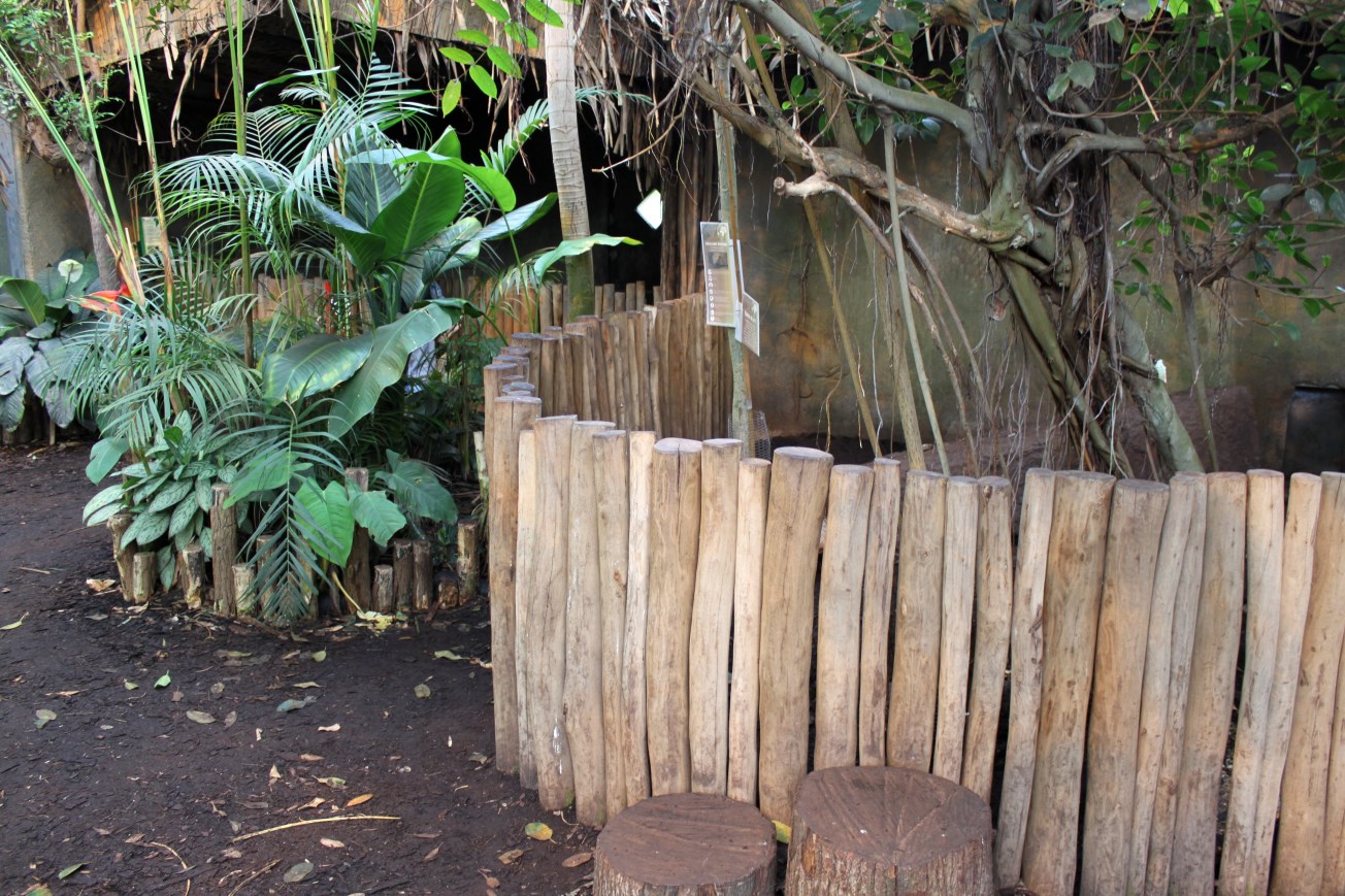 Aalborg Zoo - Payamino House