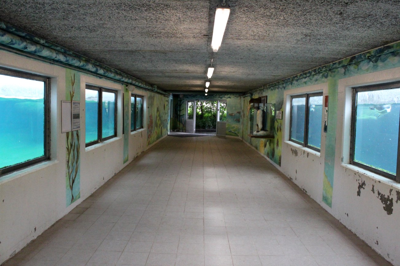 Aalborg Zoo - Penguin/sea lion tunnel