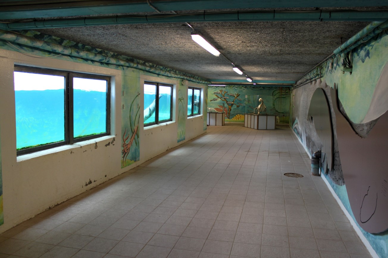 Aalborg Zoo - Penguin/sea lion tunnel