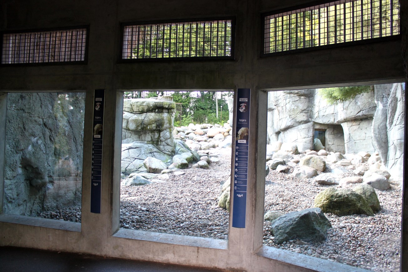Aalborg Zoo - Polar Bear Exhibit