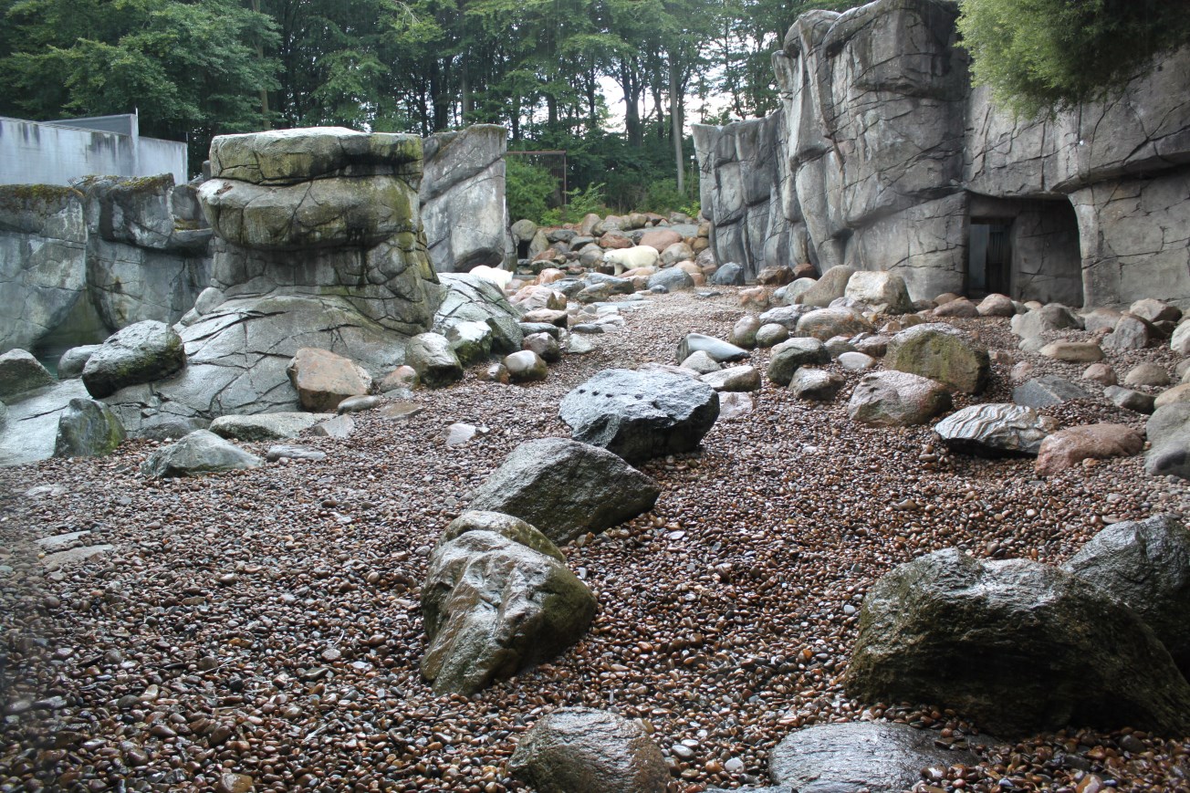Aalborg Zoo - Polar Bear Exhibit