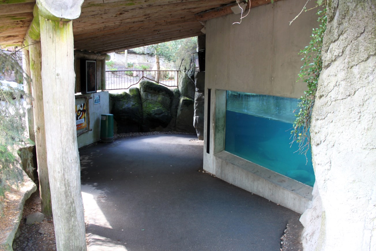 Aalborg Zoo - Polar Bear Exhibit