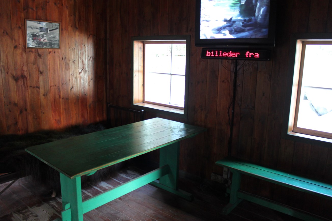 Aalborg Zoo - Polar Bear Exhibit