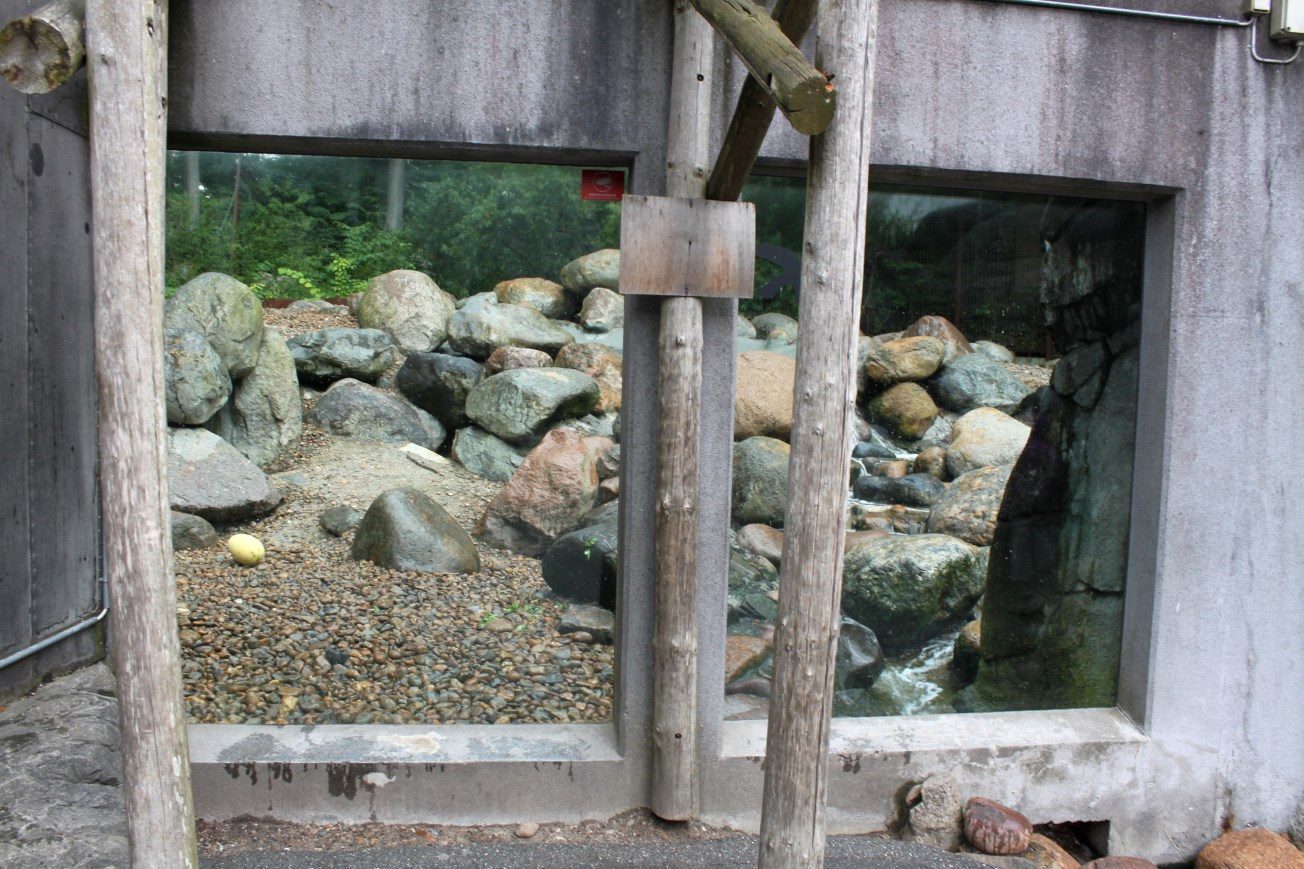 Aalborg Zoo - Polar Bear Exhibit