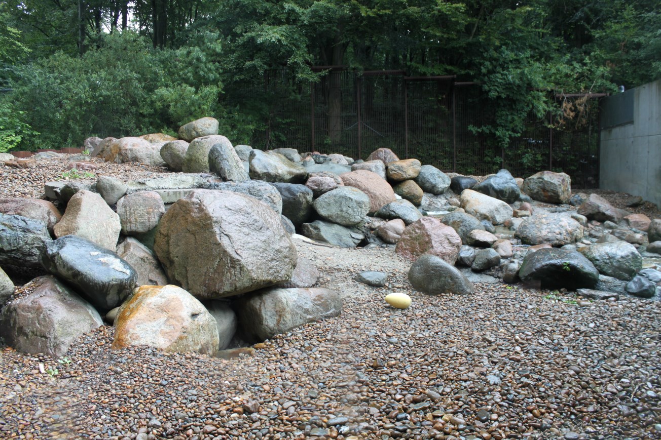 Aalborg Zoo - Polar Bear Exhibit