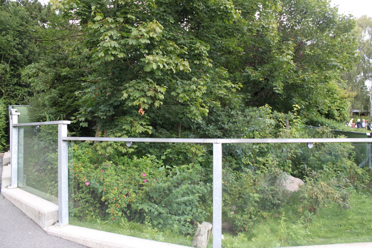 Aalborg Zoo - Red panda exhibit