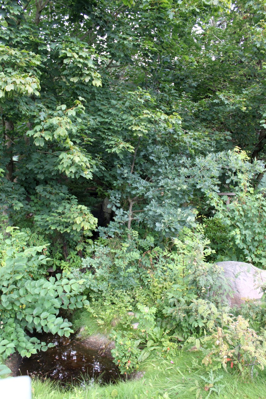 Aalborg Zoo - Red panda exhibit