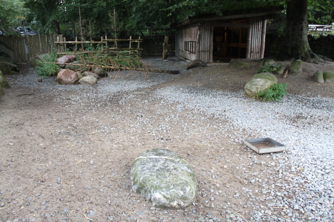 Aalborg Zoo - Reindeer exhibit