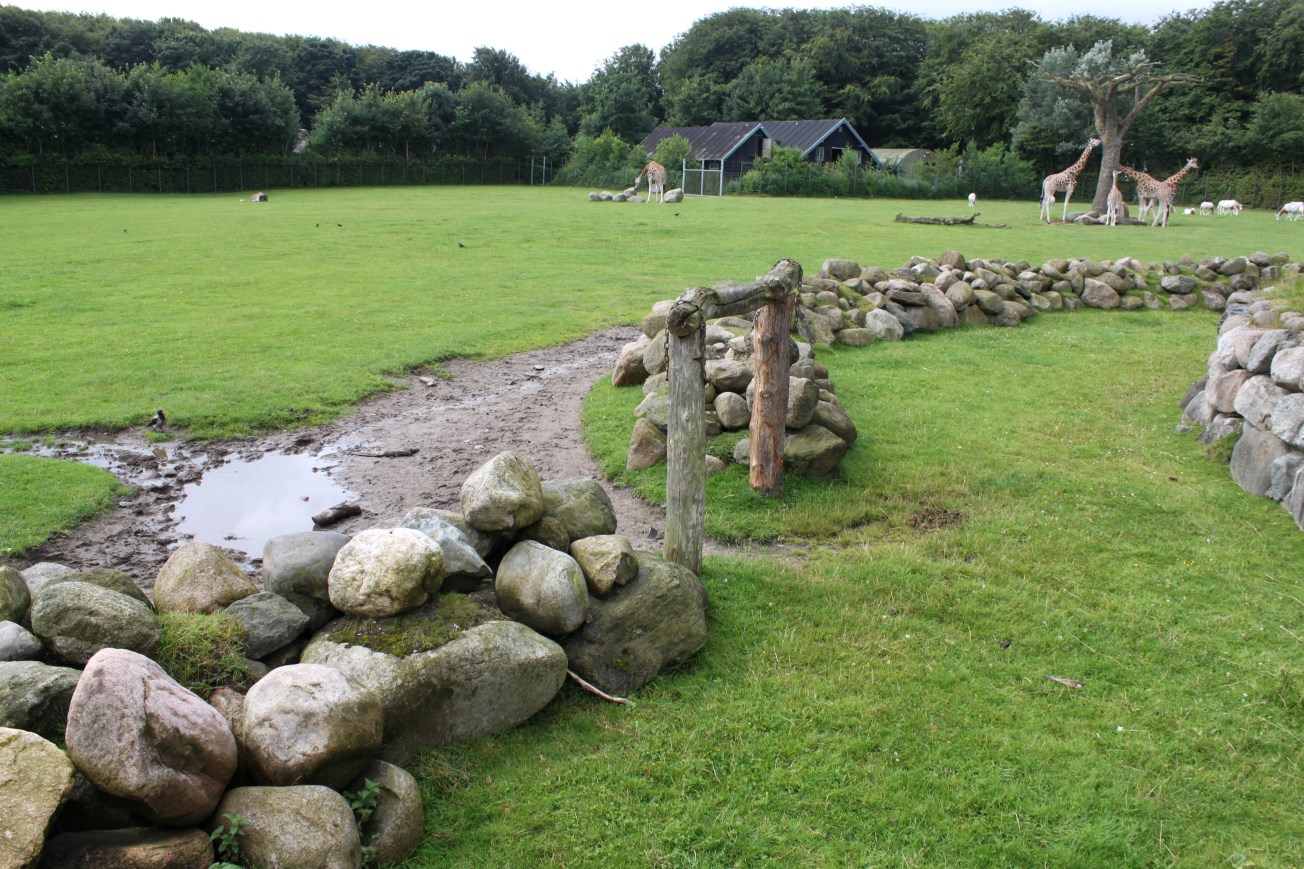 Aalborg Zoo - Savannah