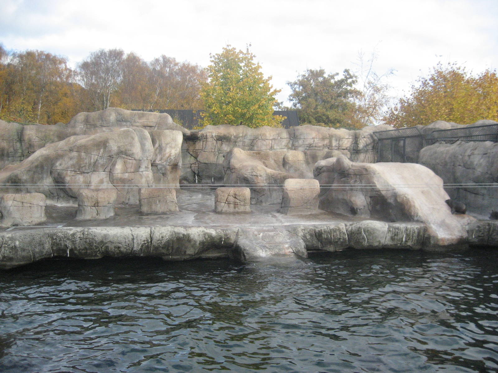 Aalborg Zoo - Sea lion exhibit
