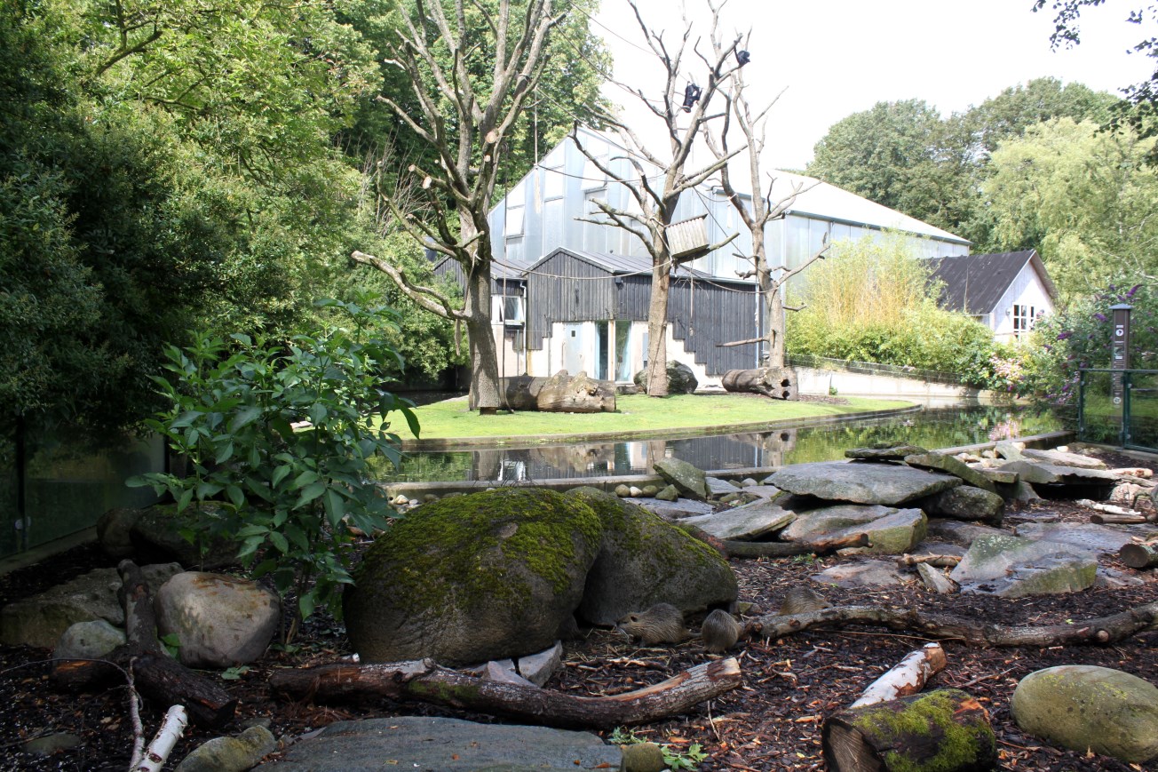 Aalborg Zoo - Spider monkey/nutria exhibit