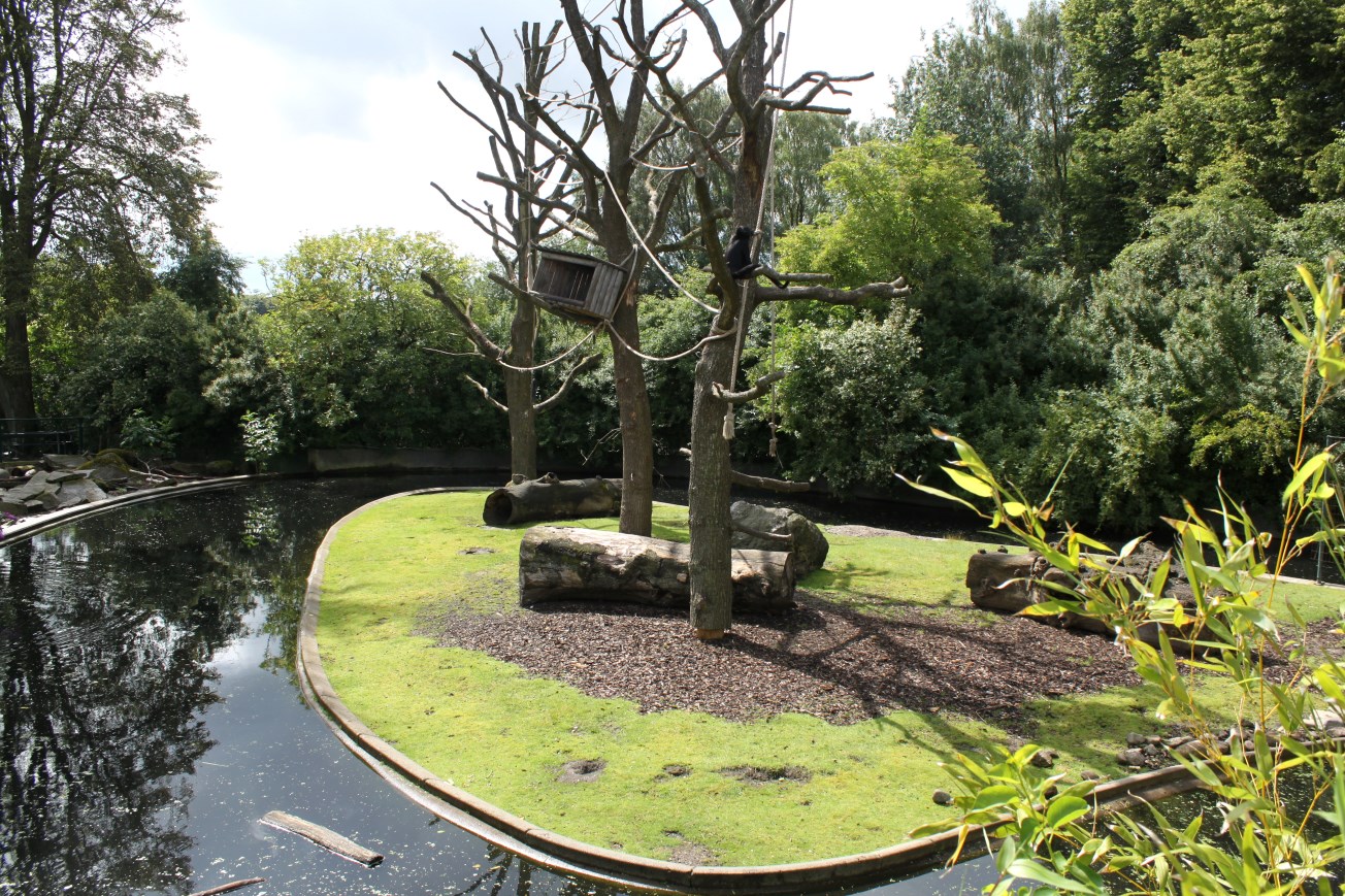 Aalborg Zoo - Spider monkey/nutria exhibit