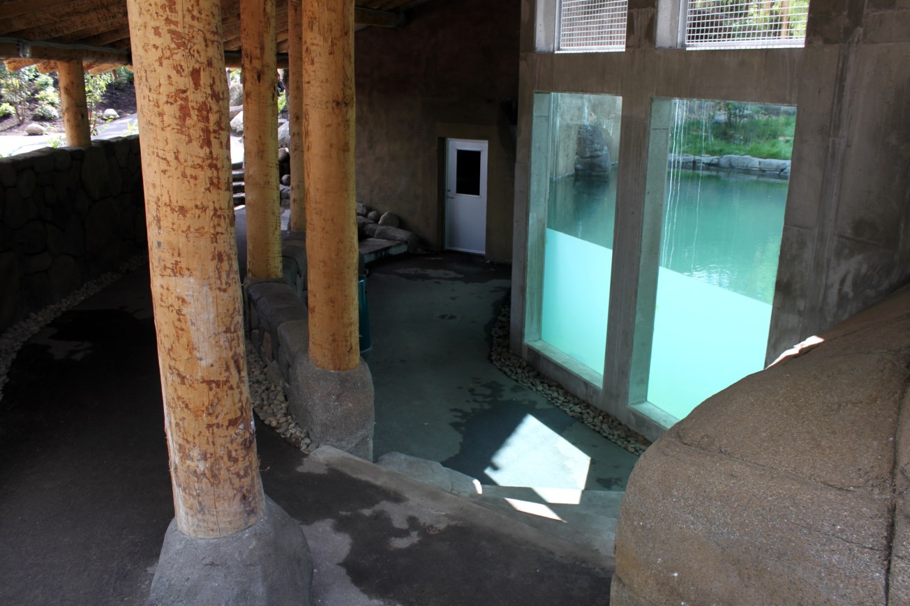 Aalborg Zoo - Tiger exhibit (1)