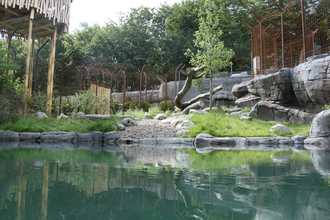 Aalborg Zoo - Tiger exhibit (1)