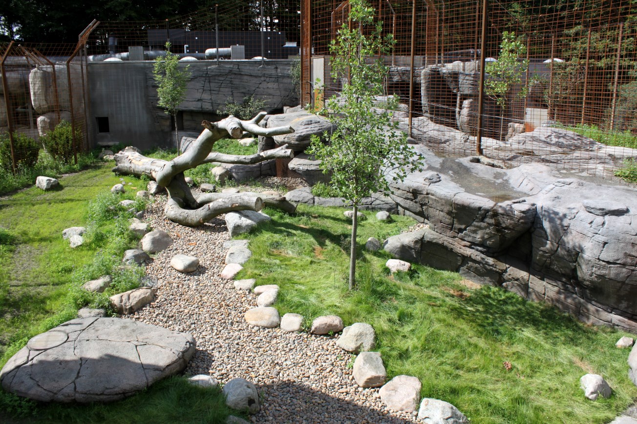 Aalborg Zoo - Tiger exhibit (1)