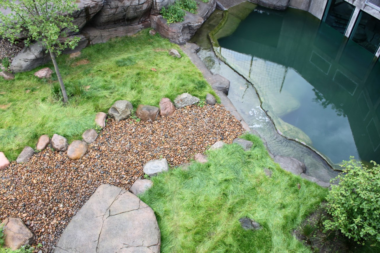 Aalborg Zoo - Tiger exhibit (1)