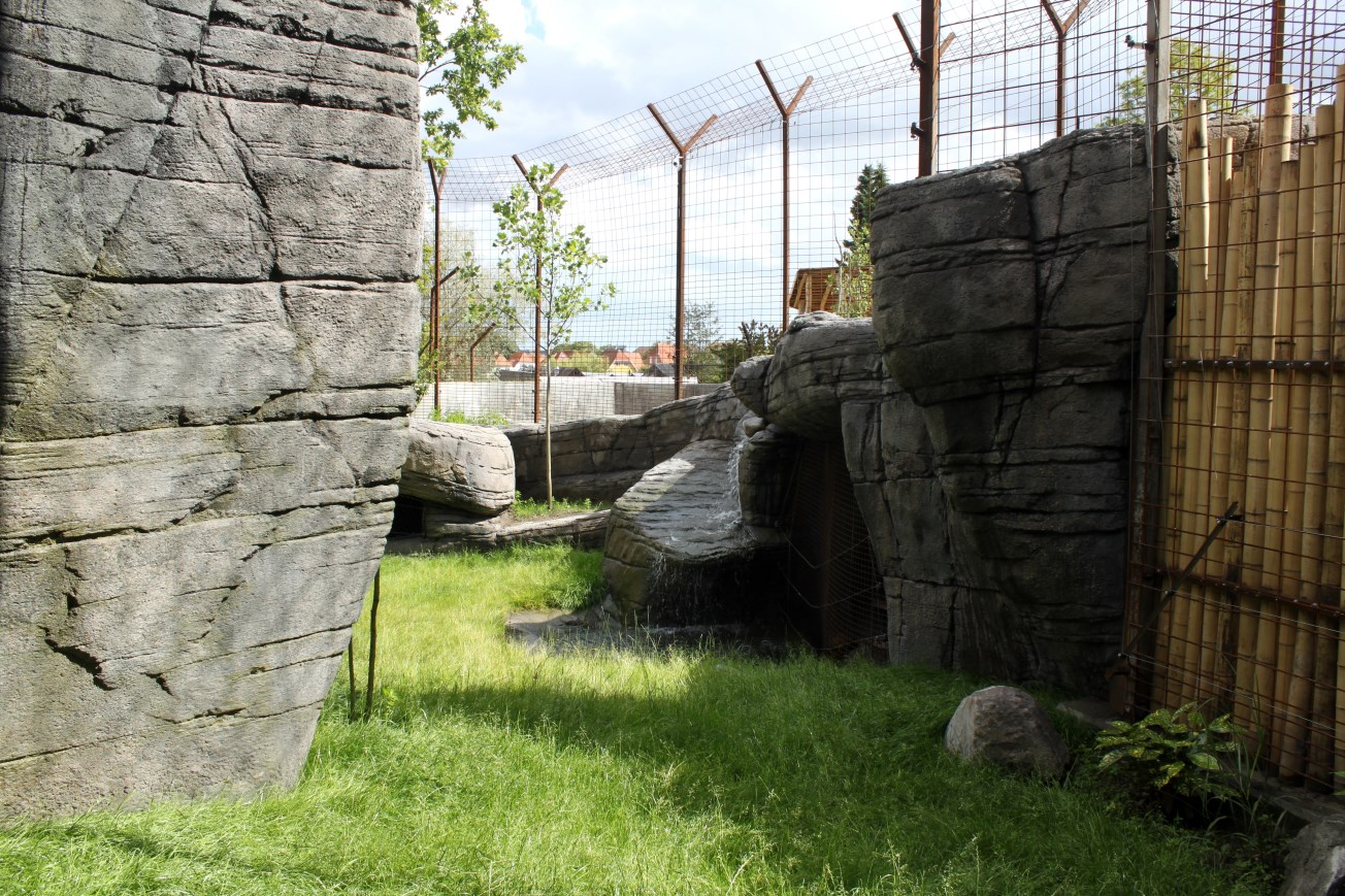 Aalborg Zoo - Tiger exhibit (2)