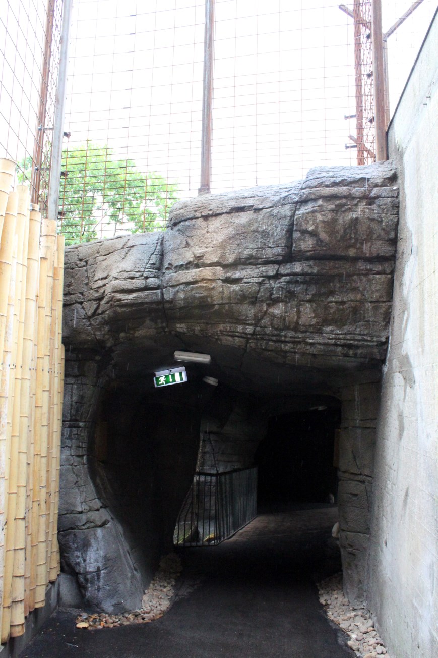 Aalborg Zoo - Tiger exhibit