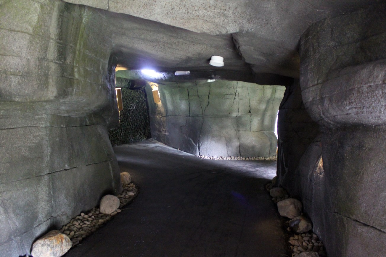 Aalborg Zoo - Tiger exhibit