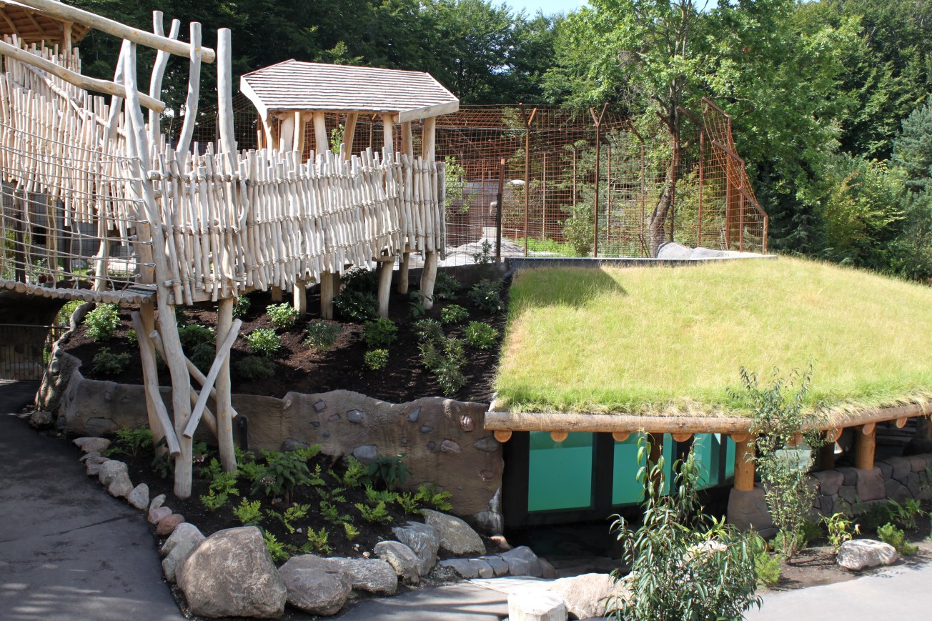 Aalborg Zoo - Tiger exhibit