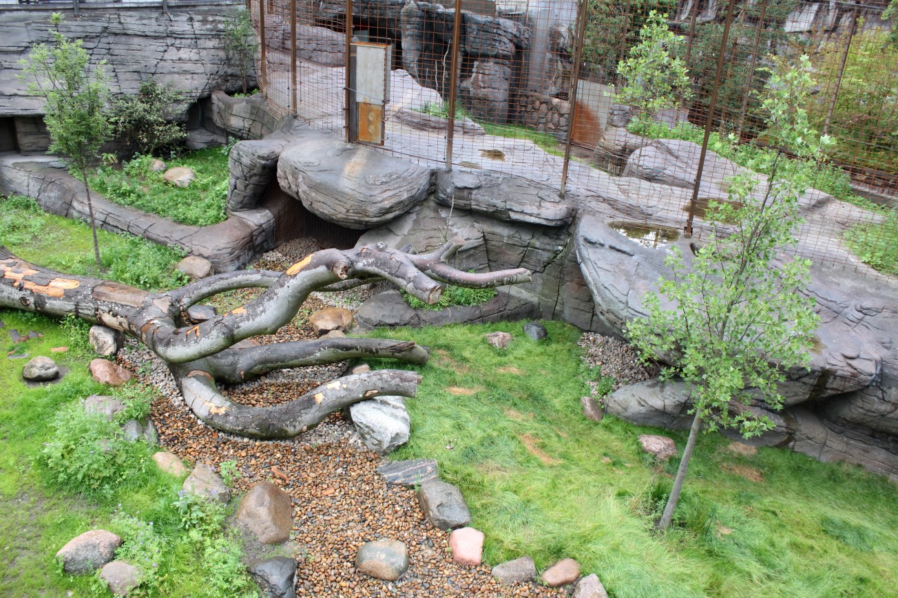 Aalborg Zoo - Tiger exhibit