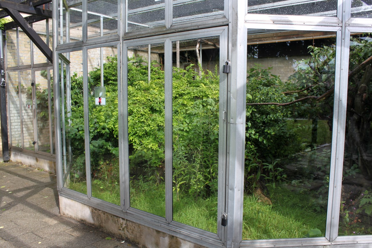 Aalborg Zoo - Tropical House (Emperor tamarin)
