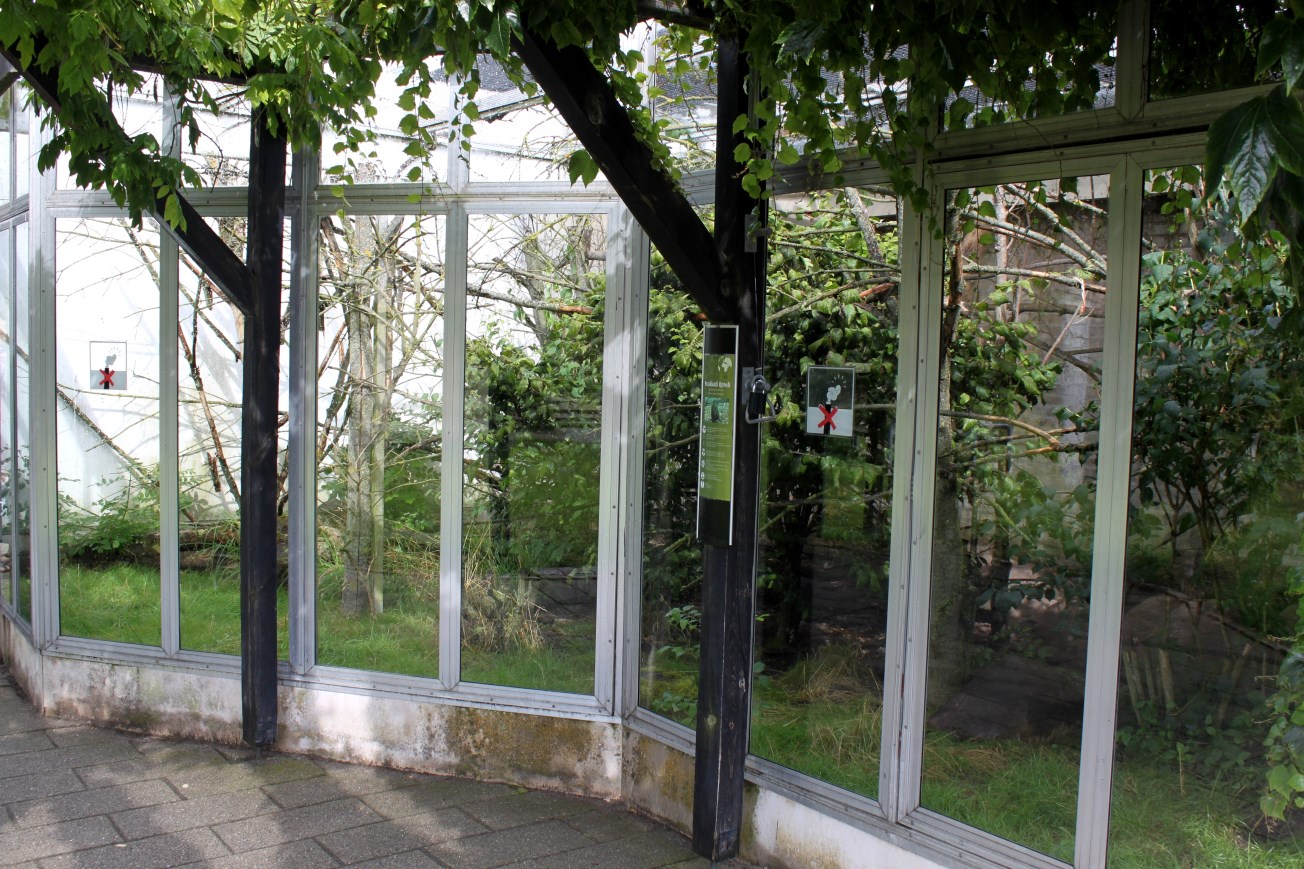 Aalborg Zoo - Tropical House (Goeldi's/agouti)