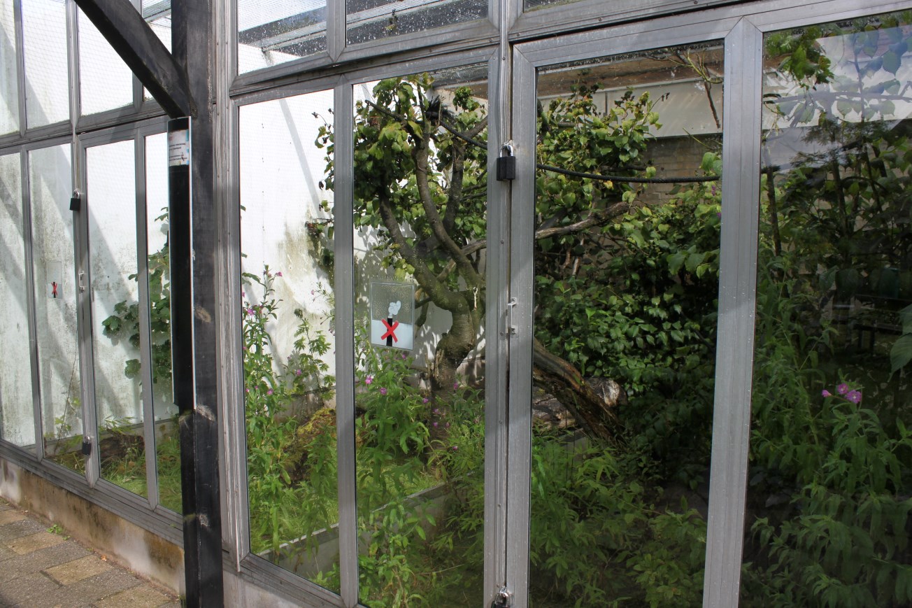 Aalborg Zoo - Tropical House (Golden lion tamarin)