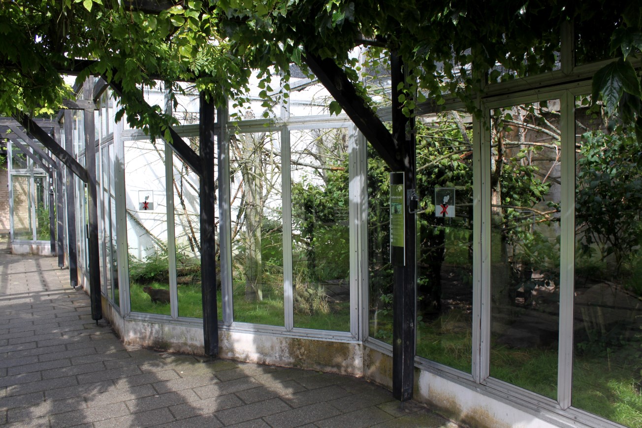 Aalborg Zoo - Tropical House (Primate exhibits)