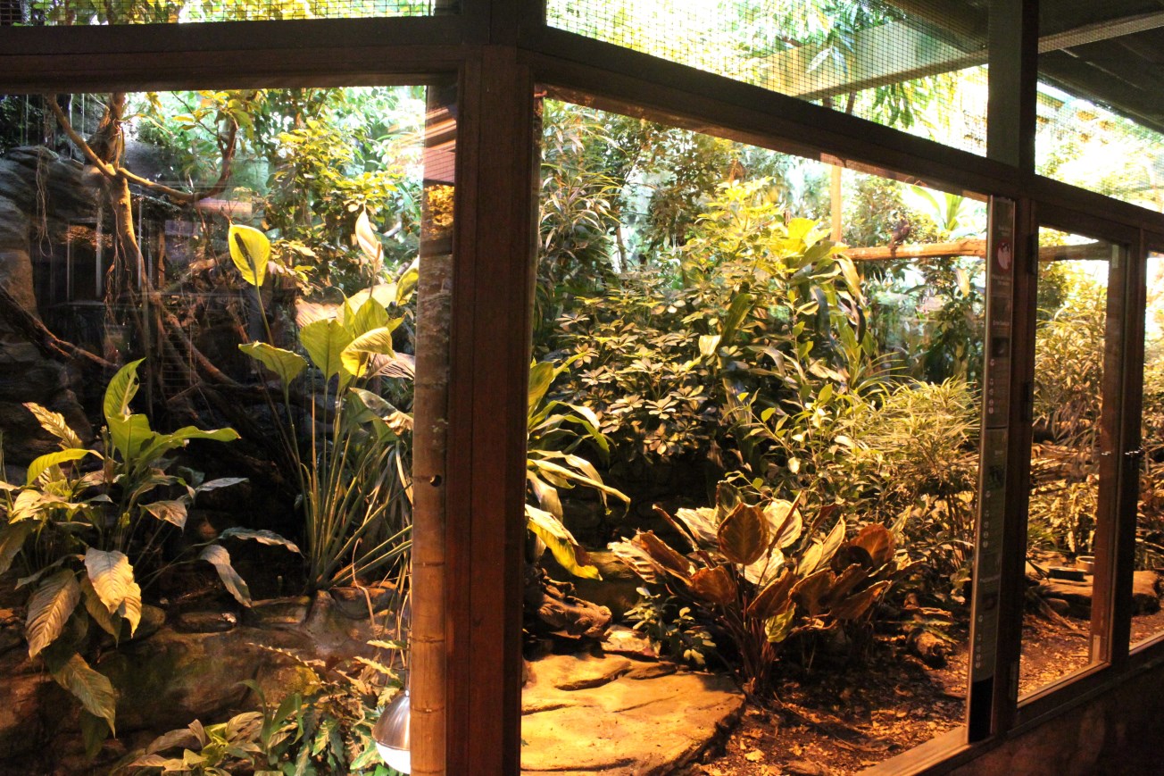 Aalborg Zoo - Tropical House (Rainforest exhibit)