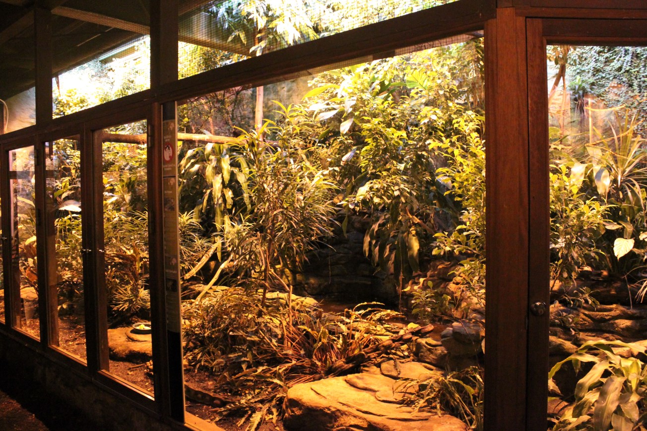 Aalborg Zoo - Tropical House (Rainforest exhibit)