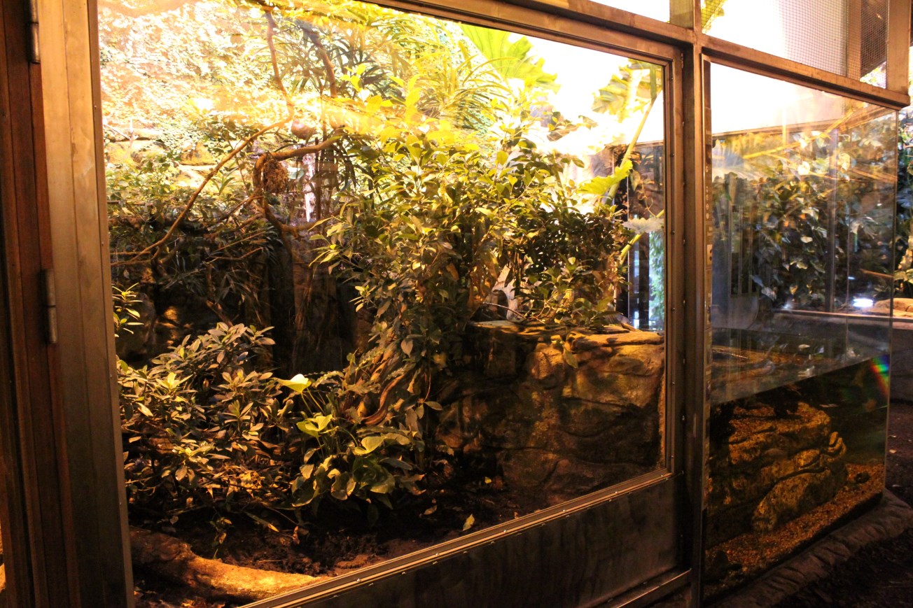 Aalborg Zoo - Tropical House (Rainforest exhibit)