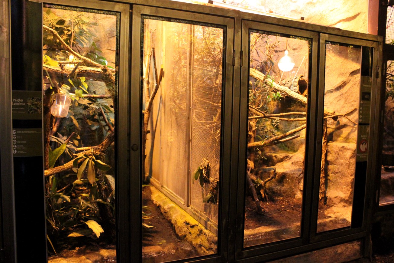 Aalborg Zoo - Tropical House (Terraria)