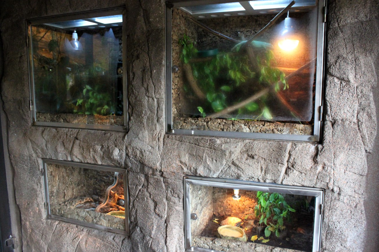 Aalborg Zoo - Tropical House (Terraria)