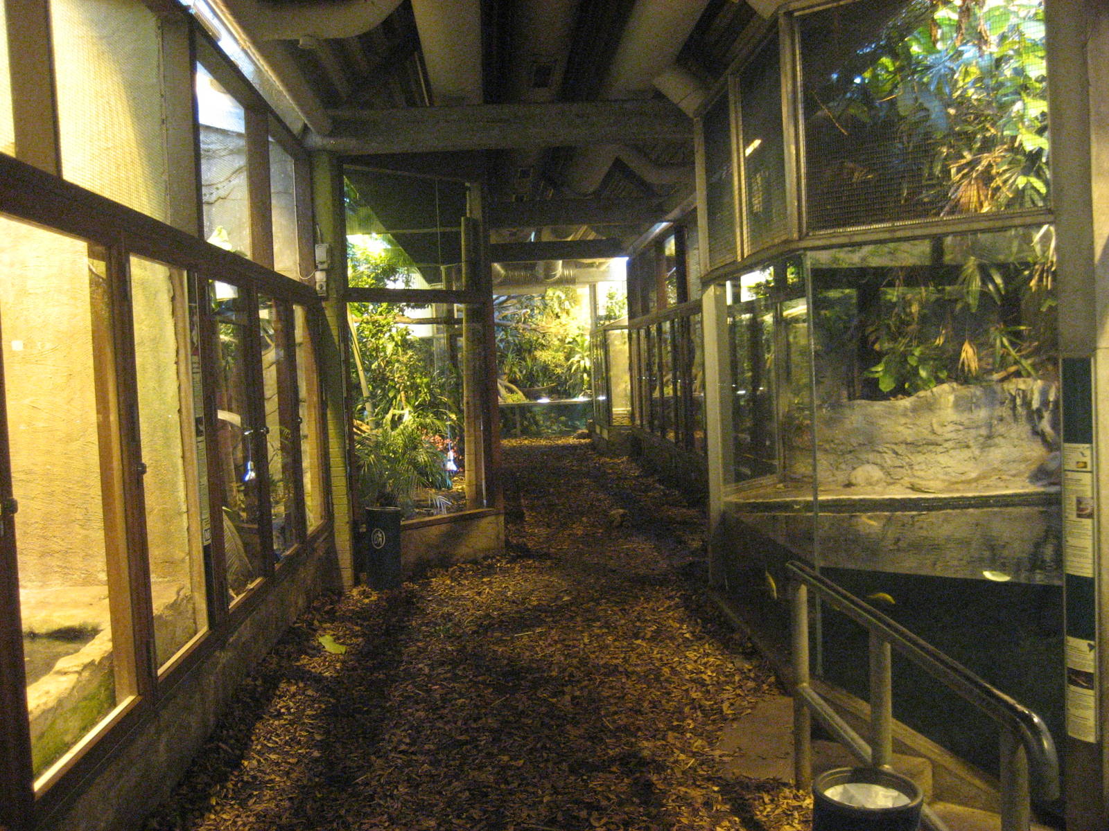 Aalborg Zoo - Tropical house